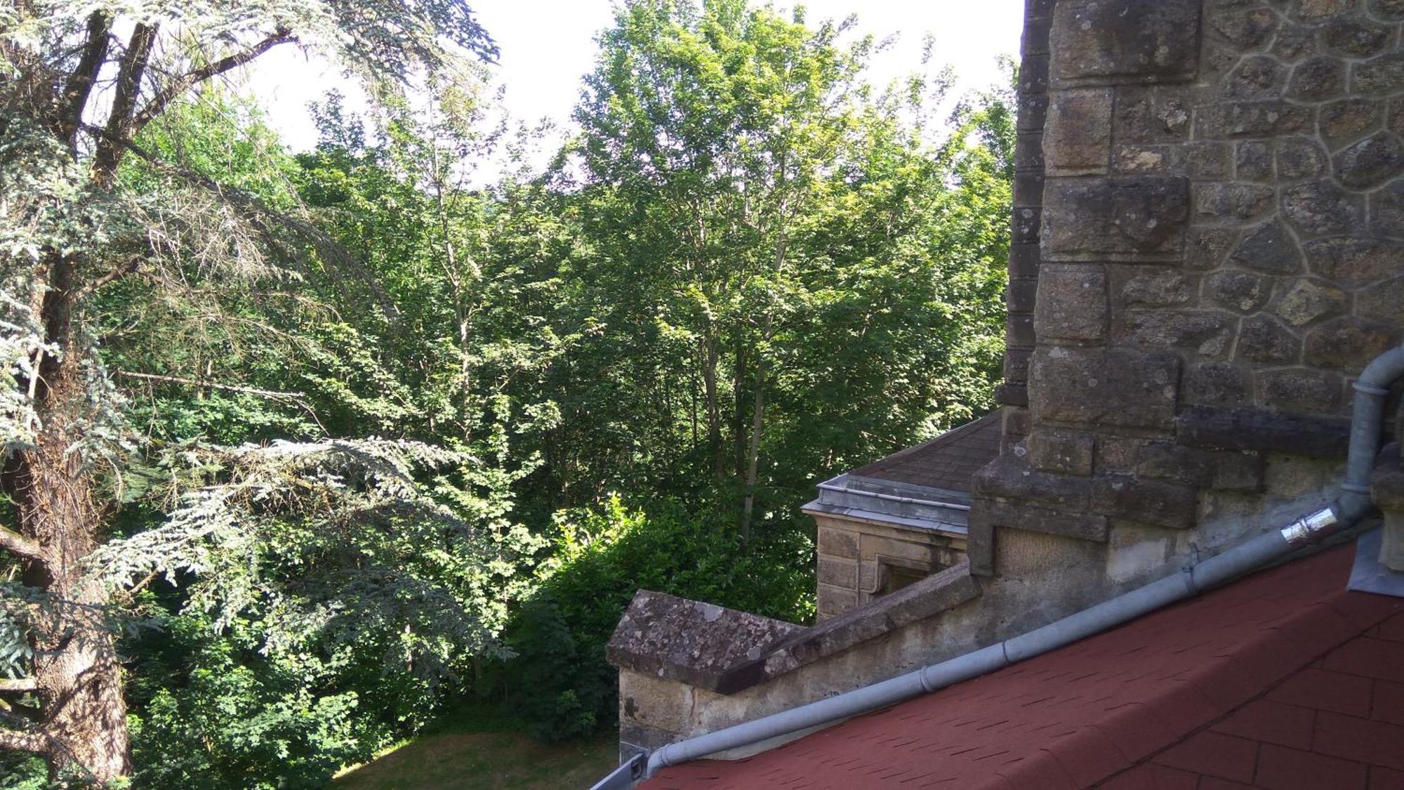 Chambres D'Hotes-Chateau Constant Bessines-sur-Gartempe Ruang foto